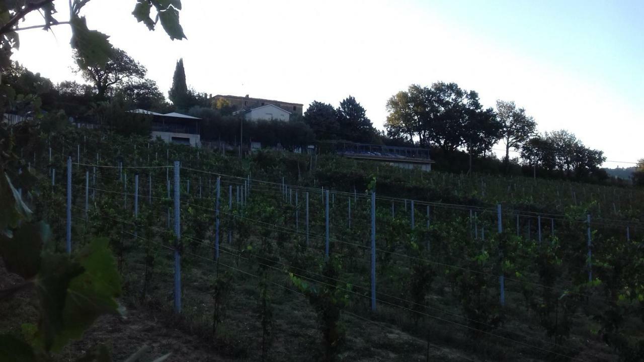Camping Agriturist Sant'Anna Castelplanio Dış mekan fotoğraf