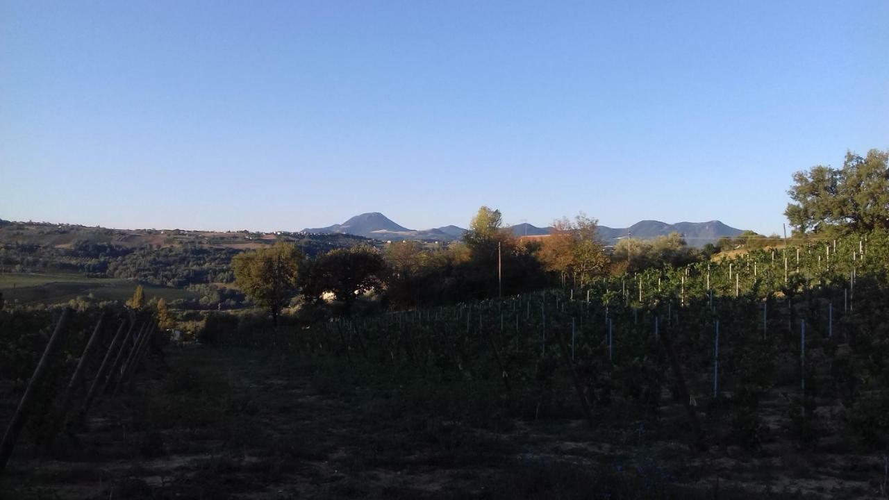 Camping Agriturist Sant'Anna Castelplanio Dış mekan fotoğraf