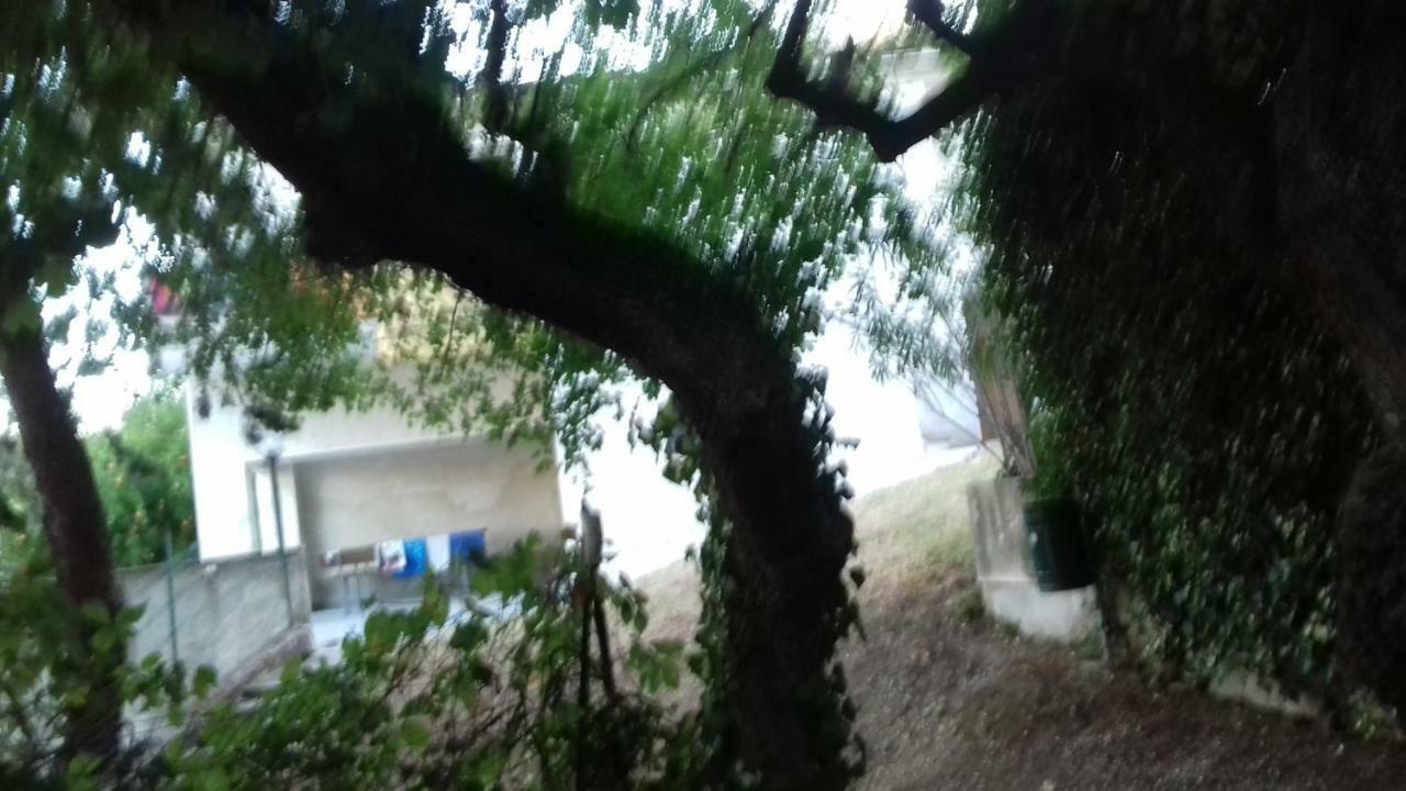 Camping Agriturist Sant'Anna Castelplanio Dış mekan fotoğraf